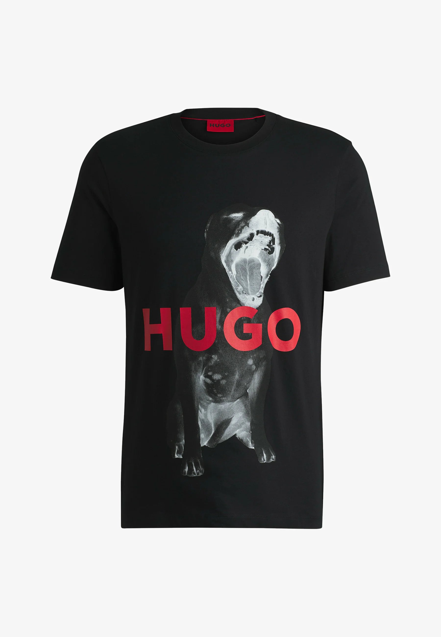 HUGO DAYAKING